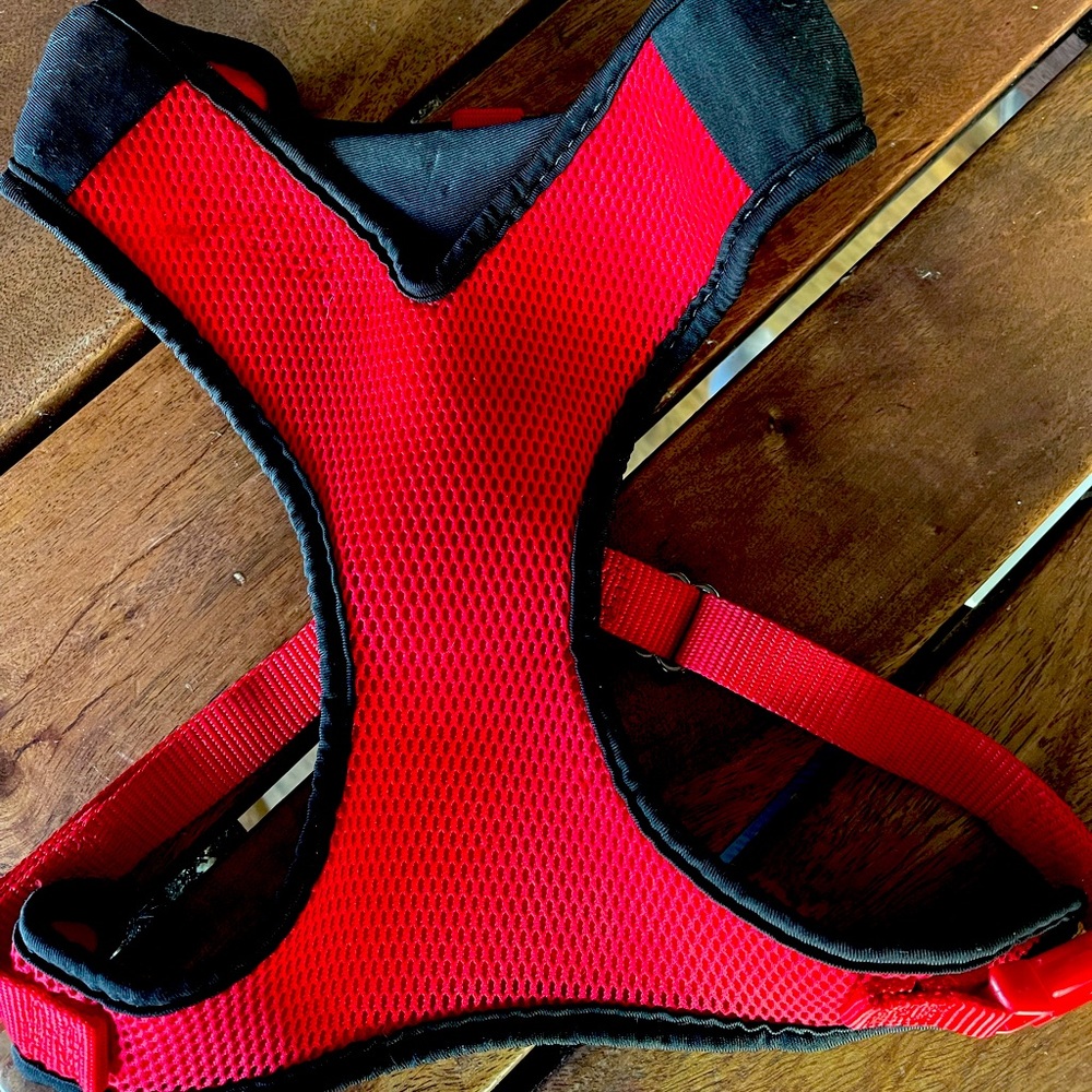 New with tags Petco red and black, small pet harness.